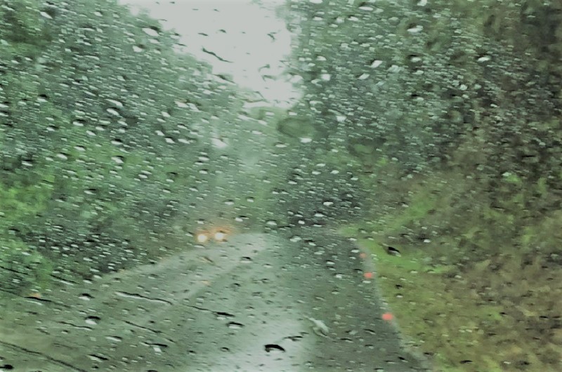 Martita o el arte de arrasar con un&nbsp;diminutivo