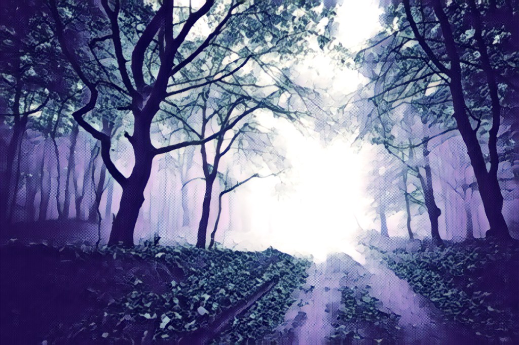 La libertad de&nbsp;Siberia