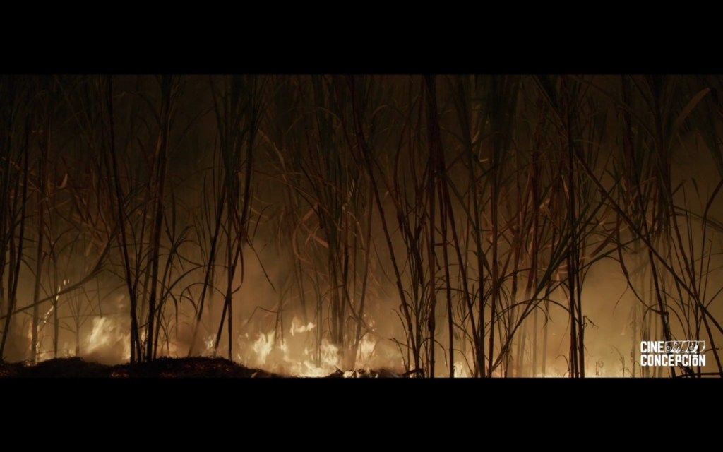 Roza: una radiografía de los paisajes&nbsp;coloniales