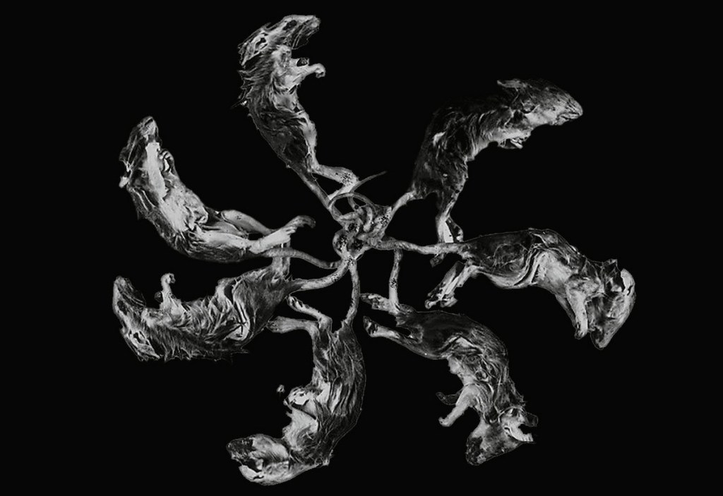 Rattenkönig [«rey de las ratas»]: totalidad y&nbsp;ensamblaje